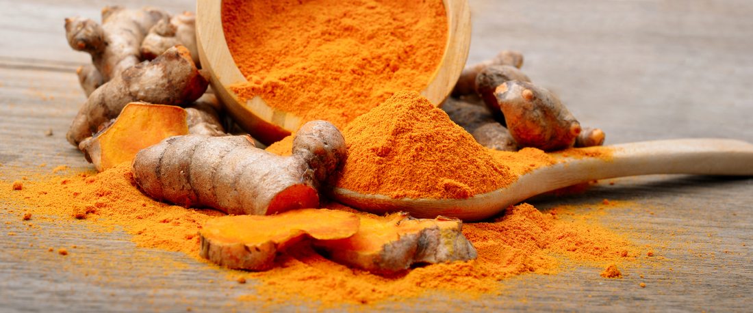 Golden turmeric powder and sliced turmeric root for natural joint support