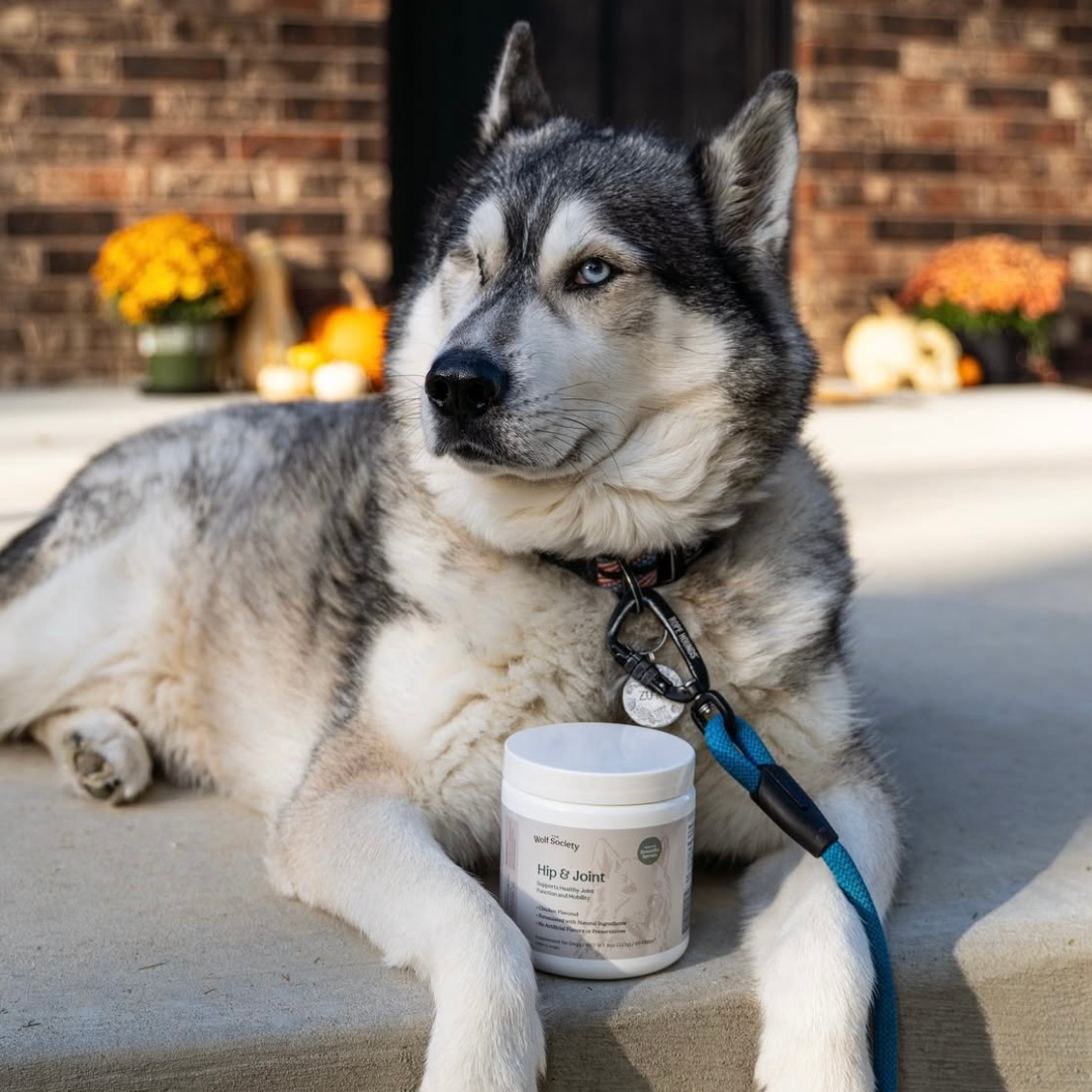 Hip & Joint Soft Chews