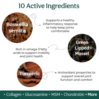 Infographic detailing 10 active ingredients for joint health with images and descriptions.