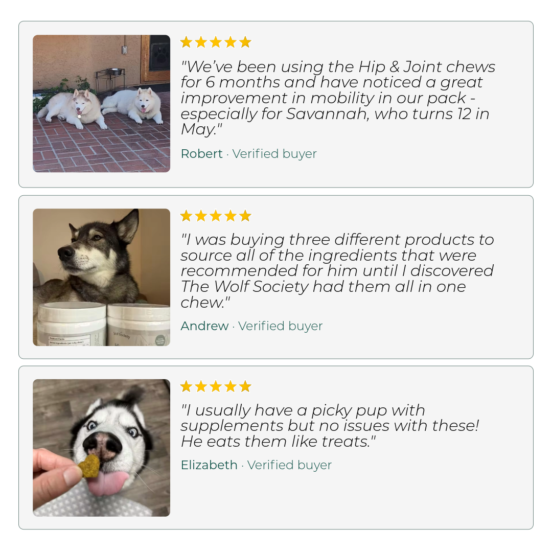 Reviews of pet products with images of dogs and text on a white background