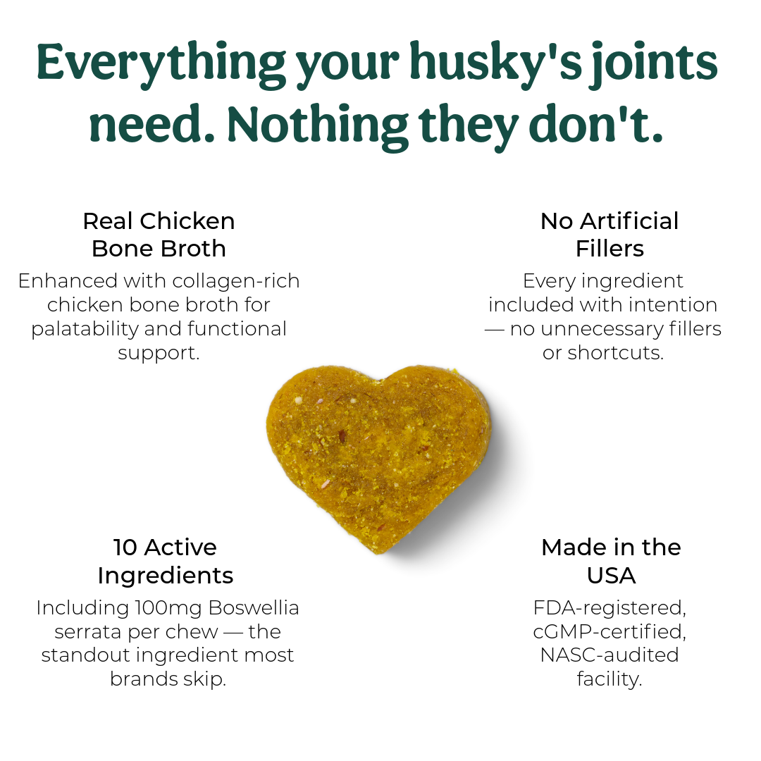Heart-shaped dog treat with text highlighting features on a white background