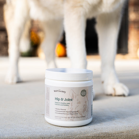 Pet supplement container labeled 'Hip & Joint' with a dog in the background