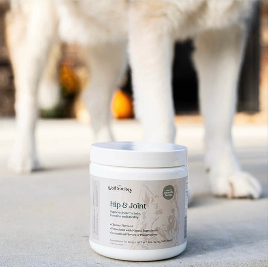 Hip & Joint Soft Chews