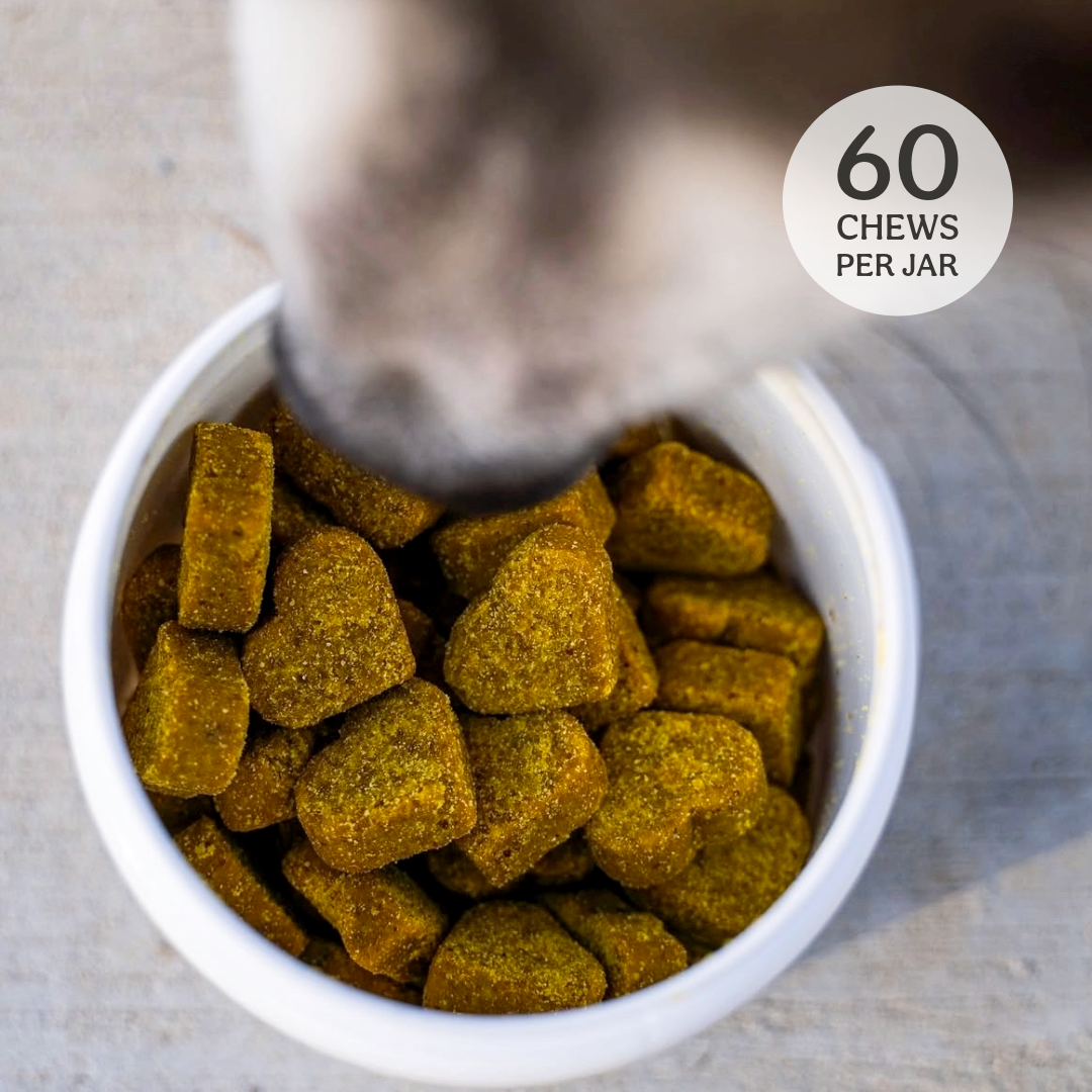 Hip & Joint Soft Chews