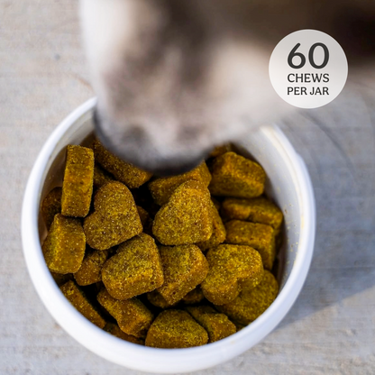 Hip & Joint Soft Chews