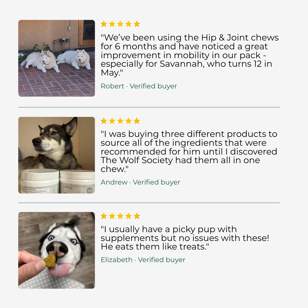 Hip & Joint Soft Chews